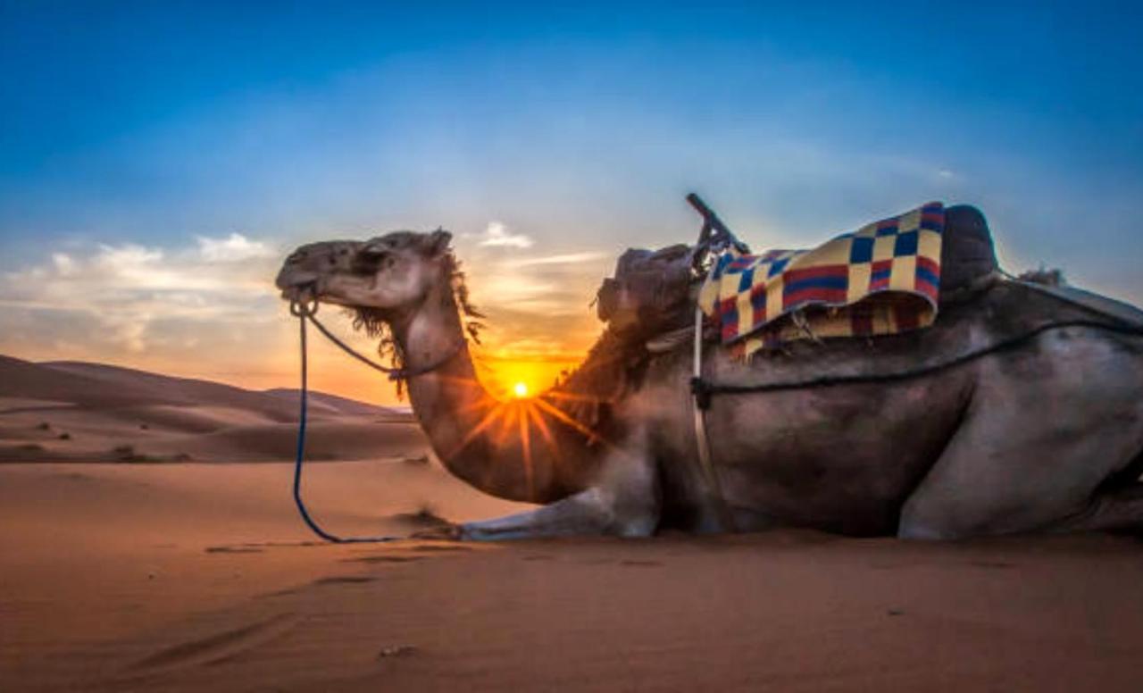 Holiday Desert Camp Merzouga Exterior photo